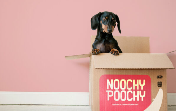 Dog sticking out of postage box.