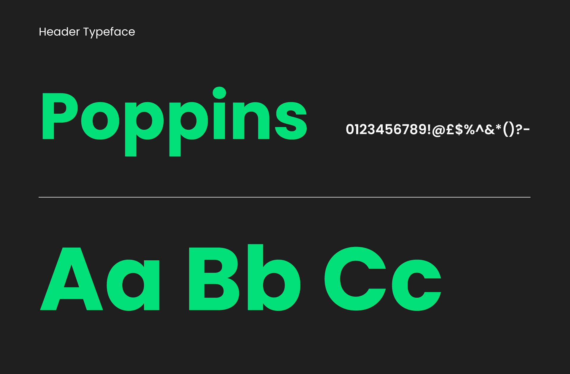 TLR primary typeface