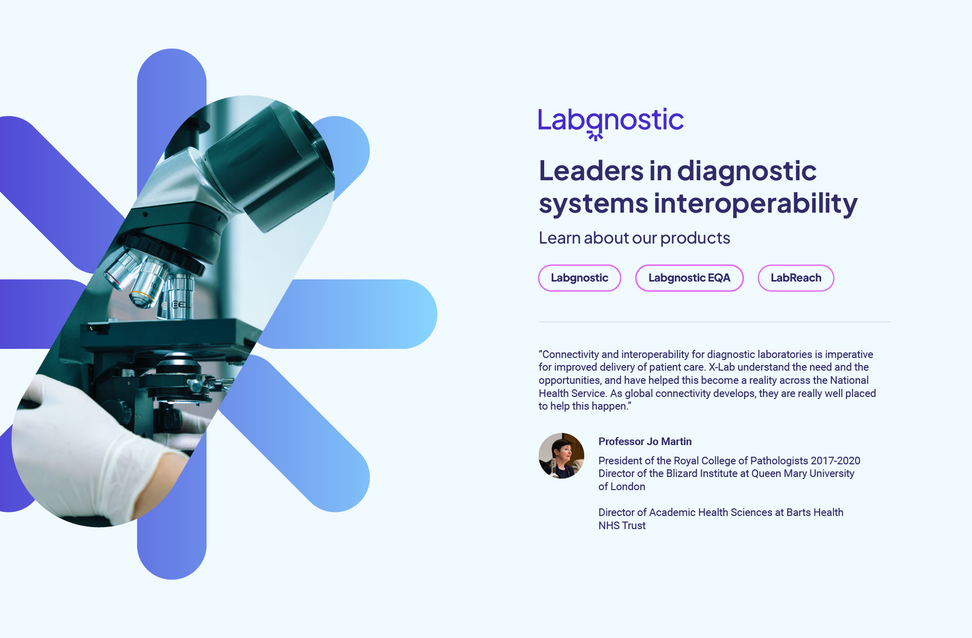 Labgnostic design section